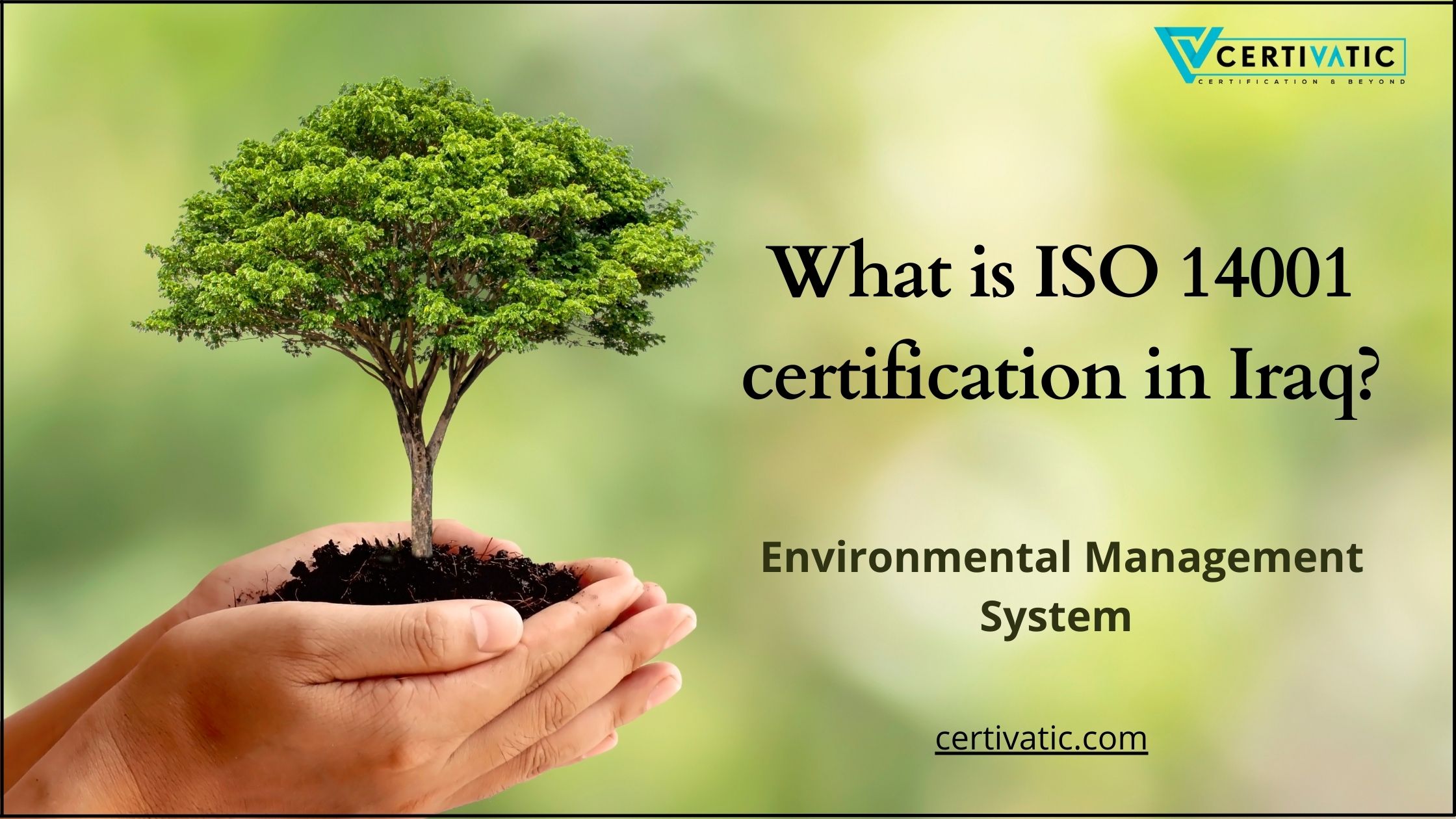 What is ISO 14001 Certification in Iraq?